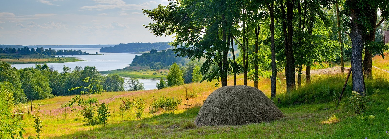 Золотая РУСЬ Золотая РУСЬ