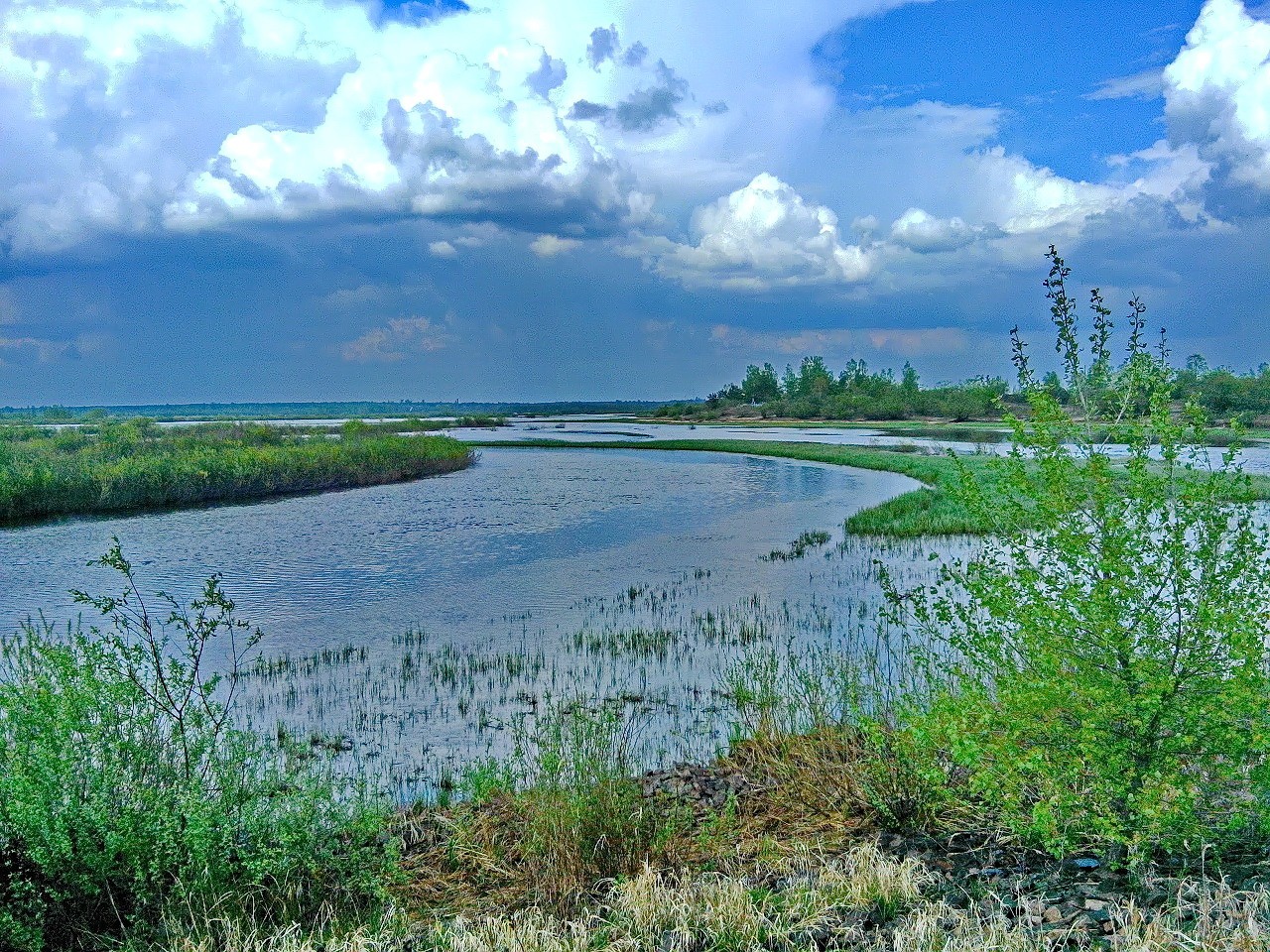 ПОЛЕ alt
