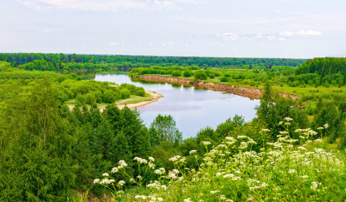 ТОВАРИЩ alt