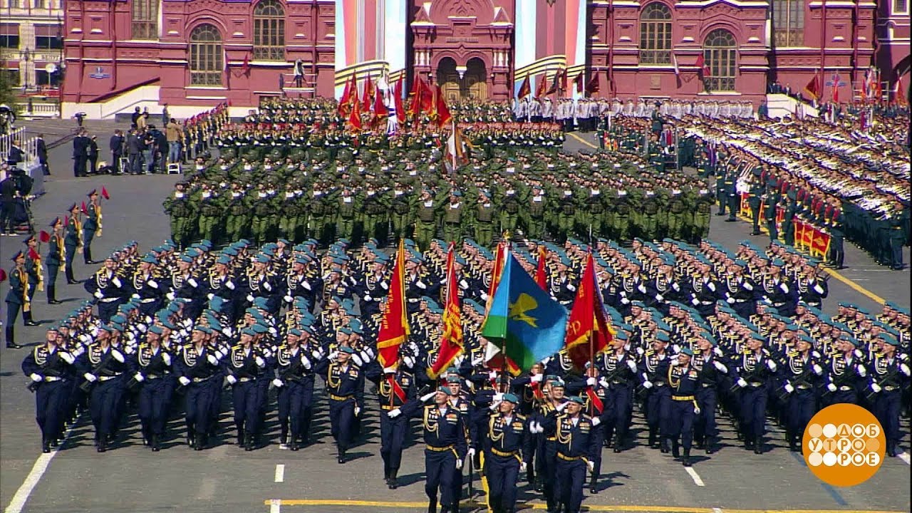 Драконы